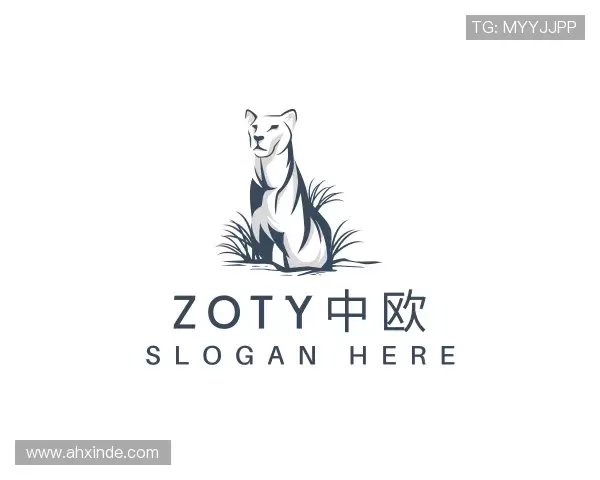 了解zoty中欧体育